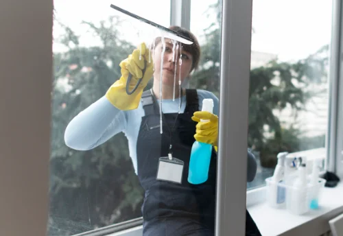 Nettoyage de vitres intérieures et extérieures à Saint-Jean-du-Bois